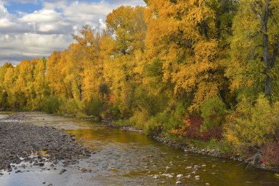 Elk River 7.jpg
