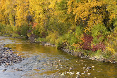 Elk River 8.jpg