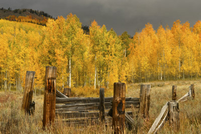 CO - Hahn's Peak Fall Color & Fence 1