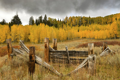 CO - Hahn's Peak Fall Color & Fence 2