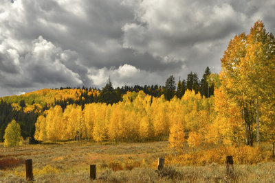 CO - Hahn's Peak Fall Color & Fence 3