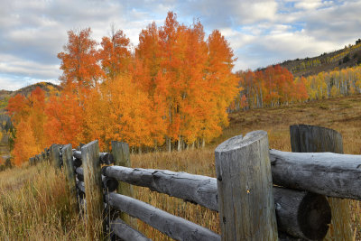 CO - Hahn's Peak Fall Color & Fence 5