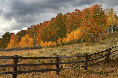 CO - Hahn's Peak Fall Color & Fence 6