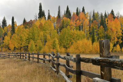 CO - Hahn's Peak Fall Color & Fence 8