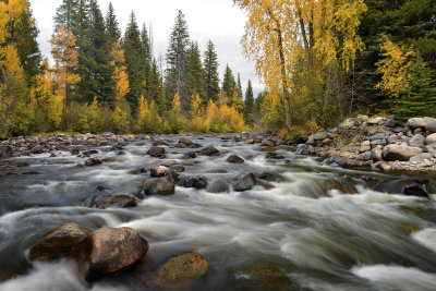 CO - Hahn's Peak Greenville Creek 2