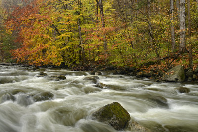 NY - Chittenango Creek 2