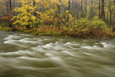 NY - Chittenango Creek 3