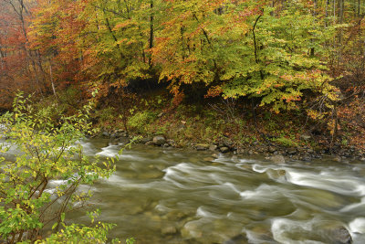 NY - Chittenango Creek 4