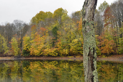 NY - Delta Lake 4