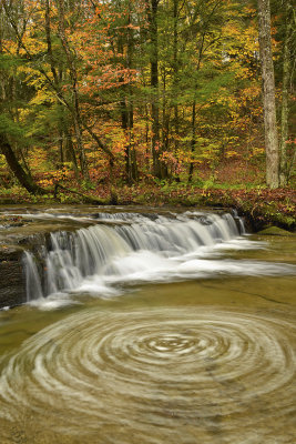 NY - Gifford Creek 1