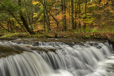 NY - Gifford Creek 2