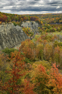 NY - Letchworth Falls State Park 2