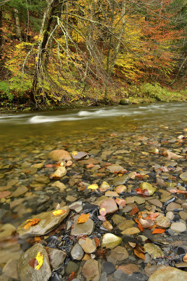 NY - Mohawk River 6