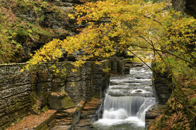 NY - Robert Treman State Park - Enfield Falls 1