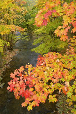 NY - Royalton - 18 Mile Creek 1