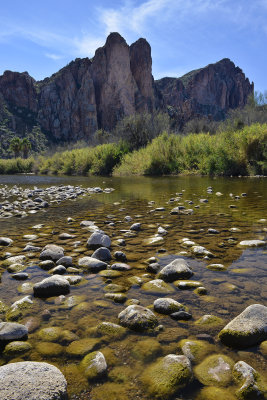 AZ - Salt River Bullfrog Midday
