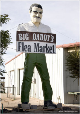 126950 Flea Market MM 2009 Las Cruces NM