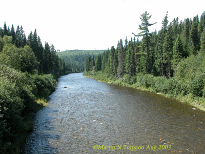 SOUTH KEDGWICK RIVER Above Hornes Gulch entrance
