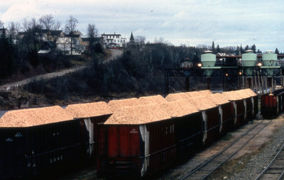 1980 Plaster Rock Sawmill
