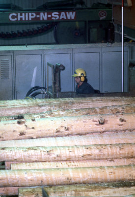 1980 Plaster Rock Sawmill