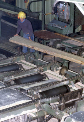 1980 Plaster Rock Sawmill
