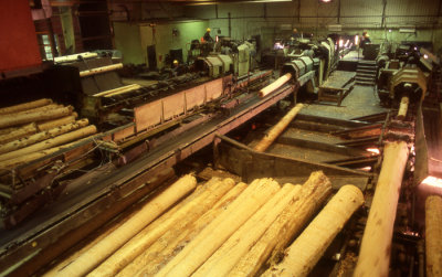 1980 Plaster Rock Sawmill