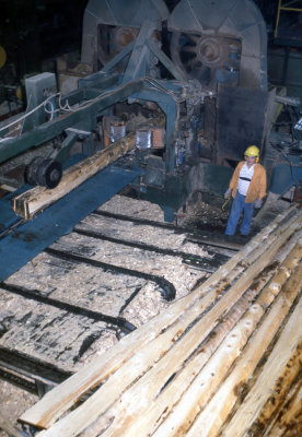 1980 Plaster Rock Sawmill
