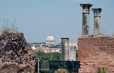 St. Peter's Dome from Palatine Hill