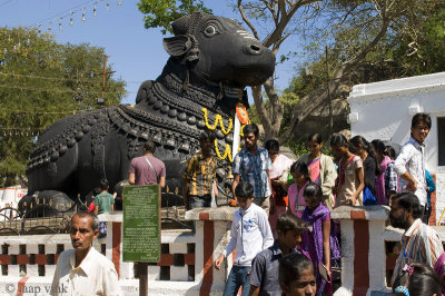 Visitors of the Giant Nandi Bull