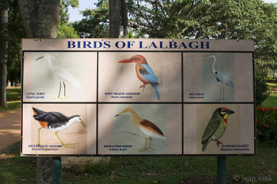Birds of Lalbagh Botanical Garden