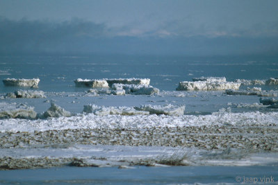 Polar Bear territory - IJsberengebied
