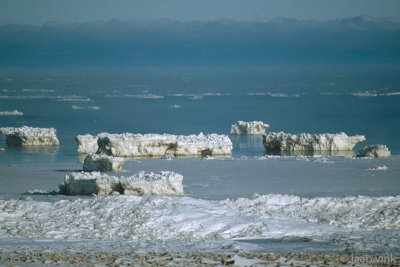 Polar Bear territory - IJsberengebied