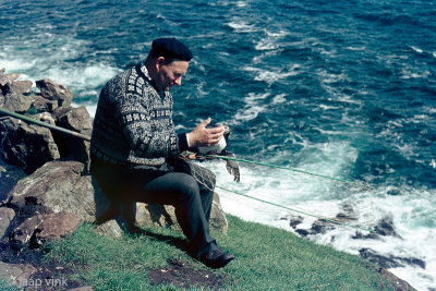 Catching Atlantic Puffins - Papegaaiduikers vangen