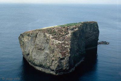 Seabird Rock - Zeevogelrots