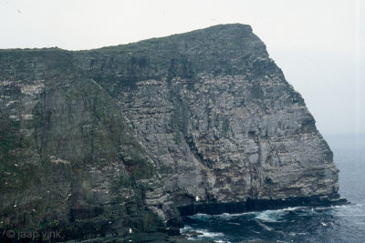 Seabird cliffs - Zeevogelkliffen