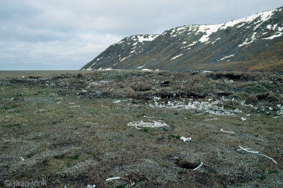 Original Settlement - Oorspronkelijke nederzetting