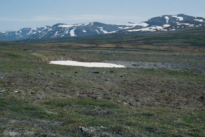 Landscape along the Nome-Taylor road - Landschap langs de Nome-Taylor road 