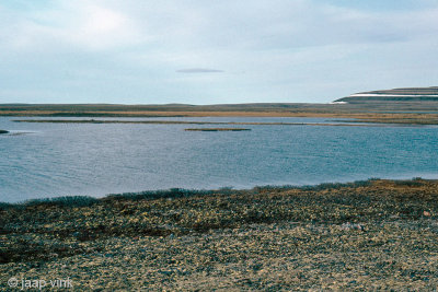 Tundra south of Mount Pelly - Toendra ten zuiden van Mount Pelly