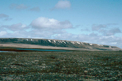 Hiking to Mount Pelly - Voettocht naar Mount Pelly