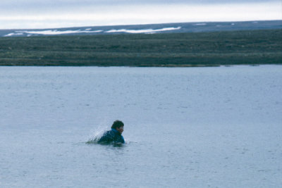 Tundra south of Mount Pelly - Toendra ten zuiden van Mount Pelly