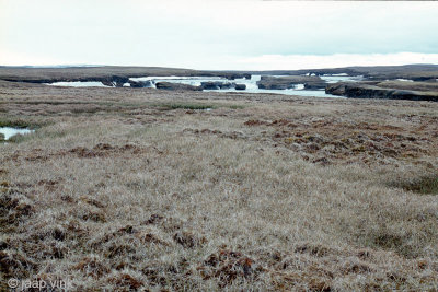 Boggy meadows at Hvanngiljafoss