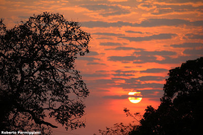 Pantanal sunrise