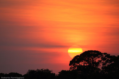 Pantanal sunrise