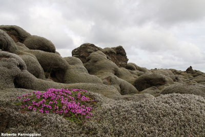 South of Iceland