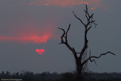 Pantanal sunset