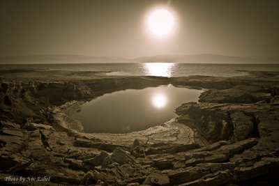 Dead Sea 2013