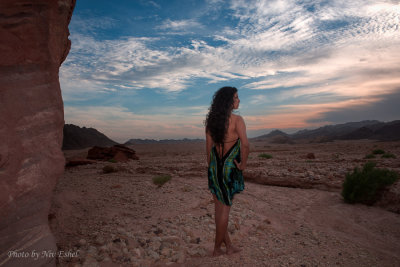 DSC_4954-Edit.jpg