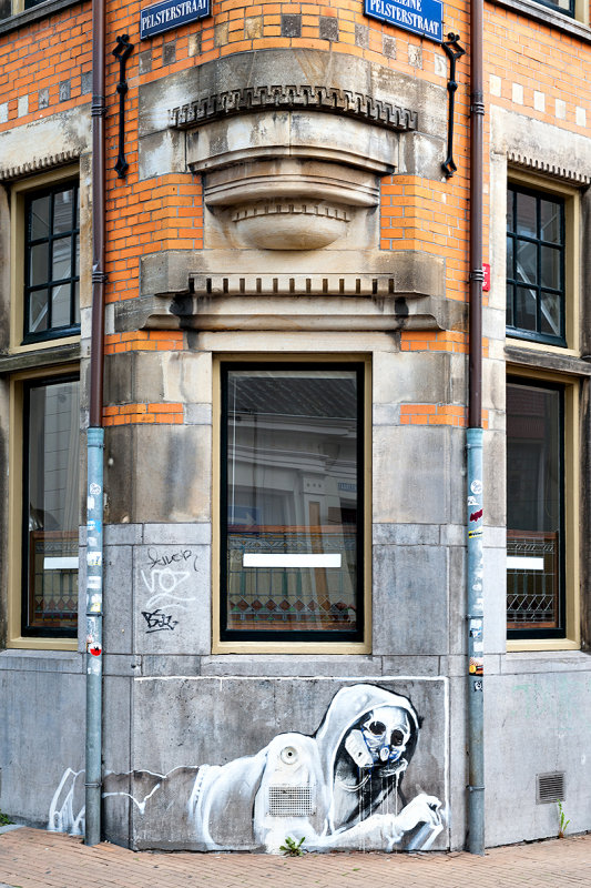 Pelsterstraat