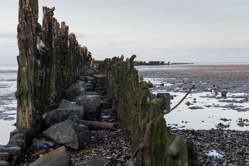 The Netherlands, Friesland, Wierum
