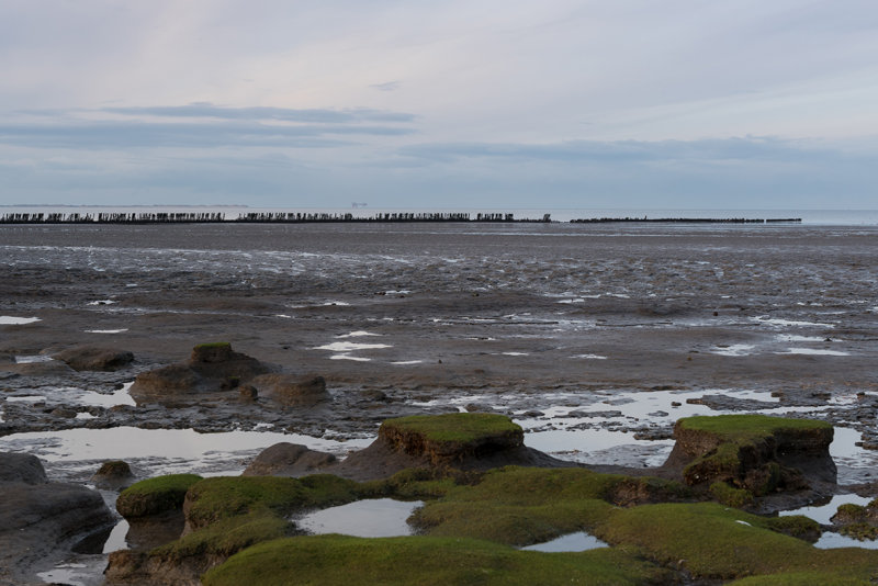 The Netherlands, Friesland, Wierum